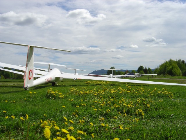 Grid p Hokksund