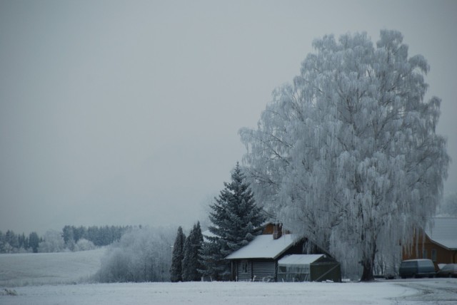 Julestemning  22/12-07