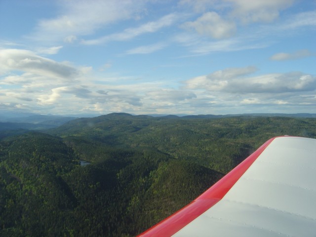 Over skogen p vei hjem